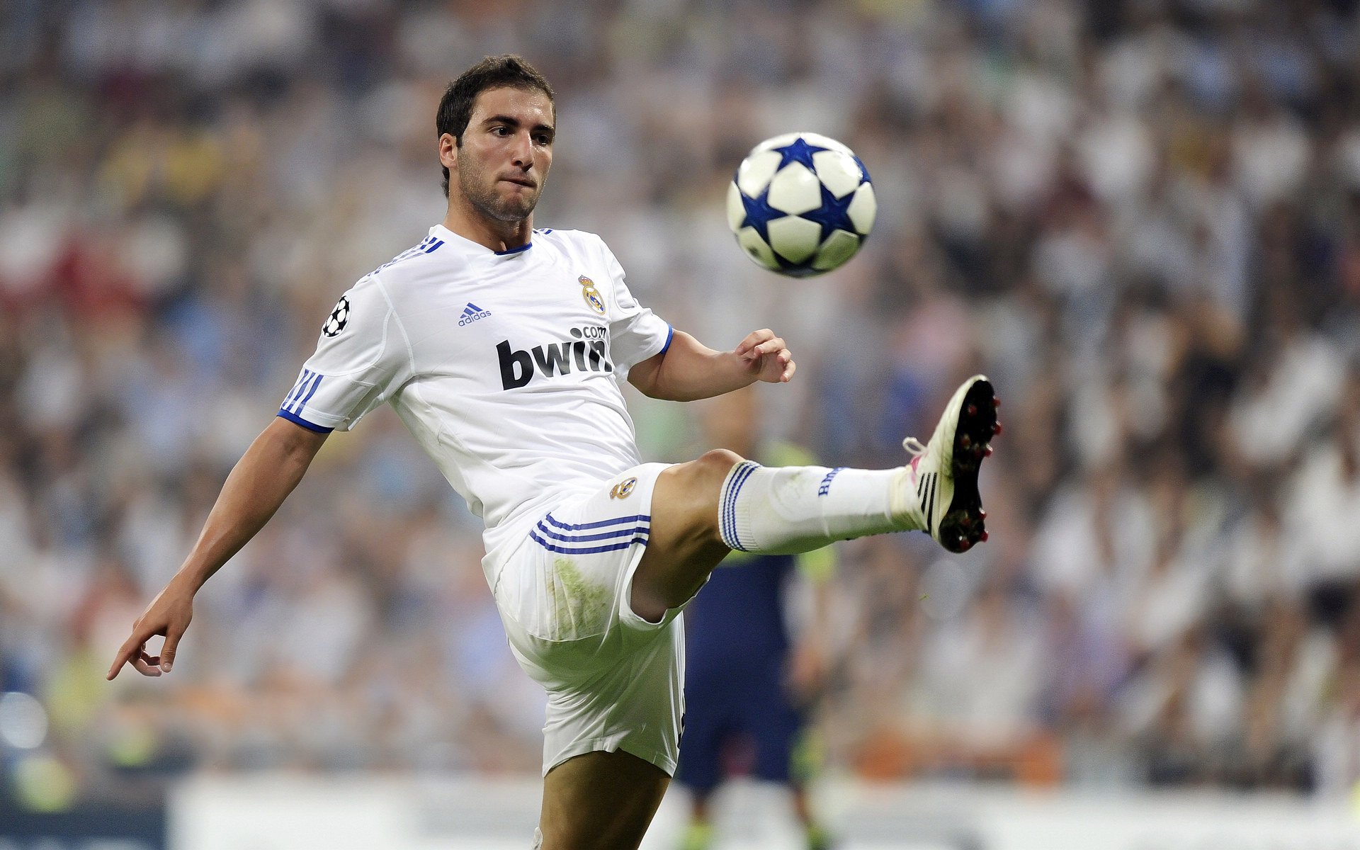 冰封与熔岩，折戟之夜的擎旗之人